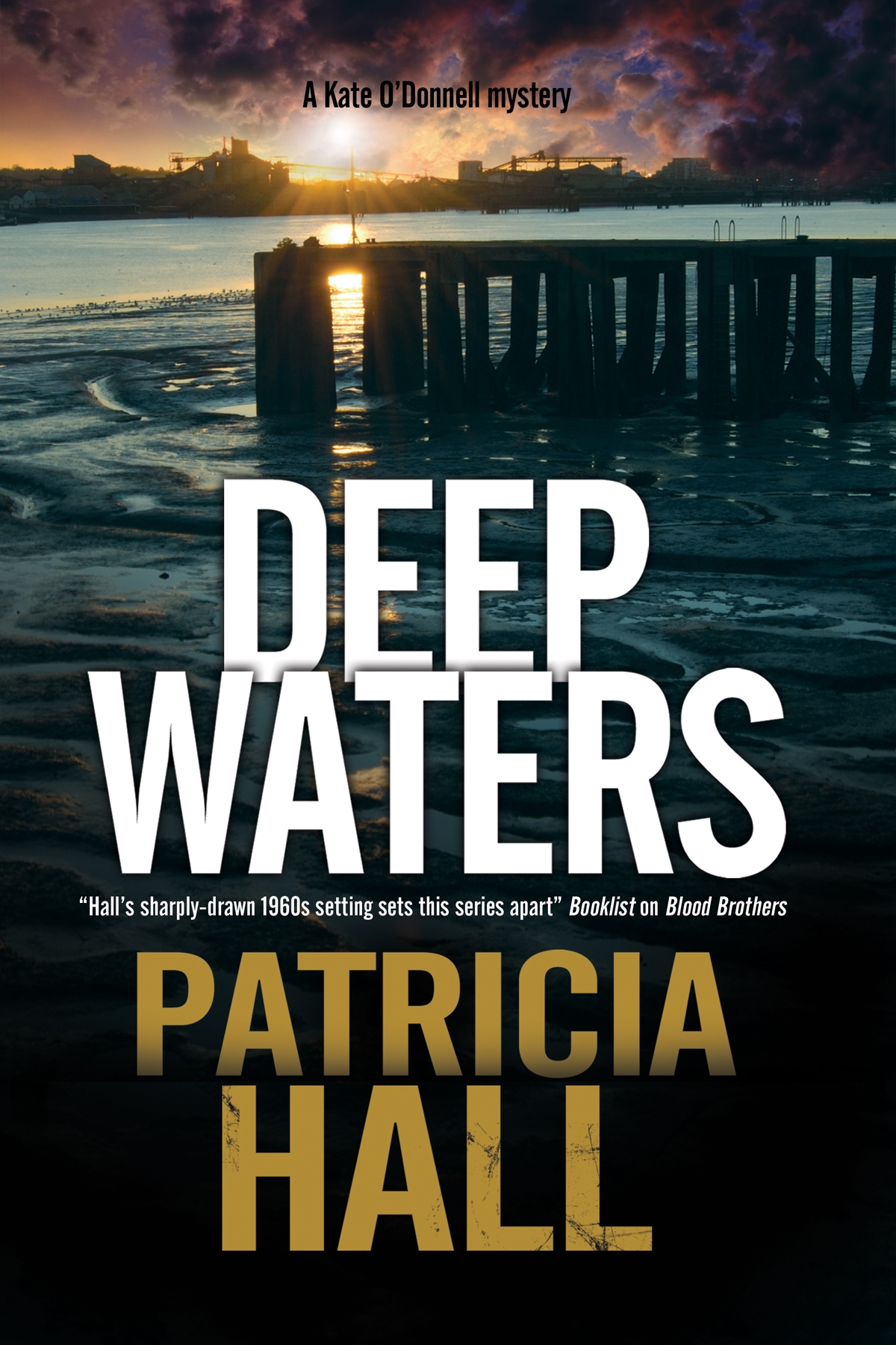 Still waters deep. Patricia Hall. Холл Патриция.